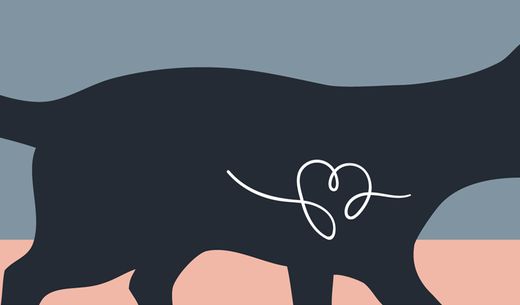 Illustration of a cat.