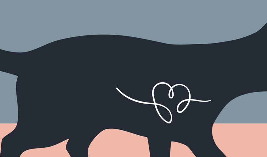 Illustration of a cat.
