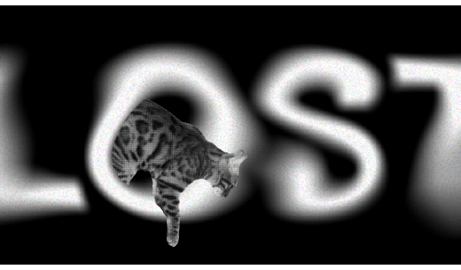 Illustration of lost pets