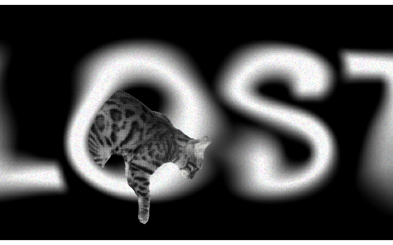 Illustration of lost pets