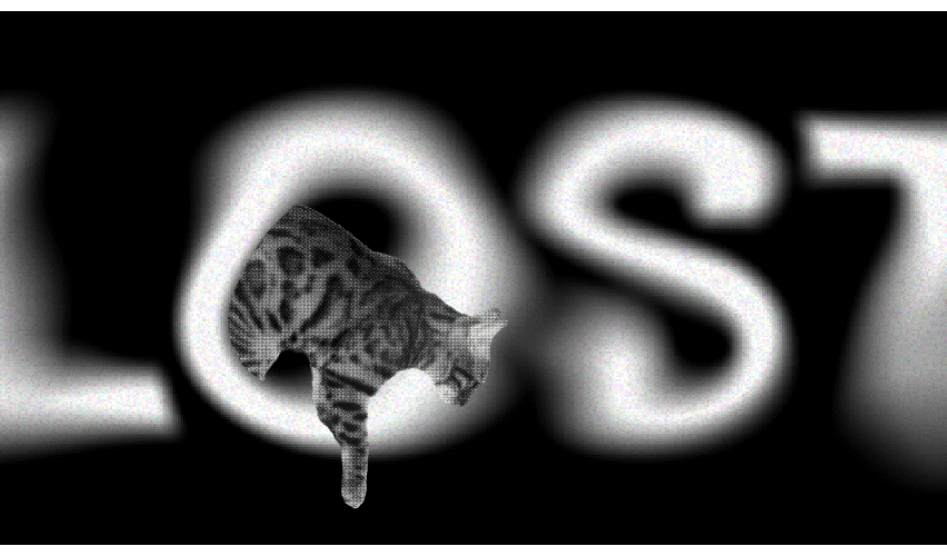 Illustration of lost pets