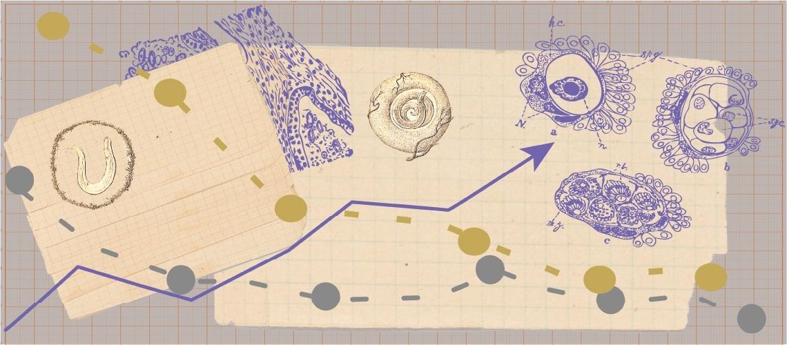 Parasite chart.