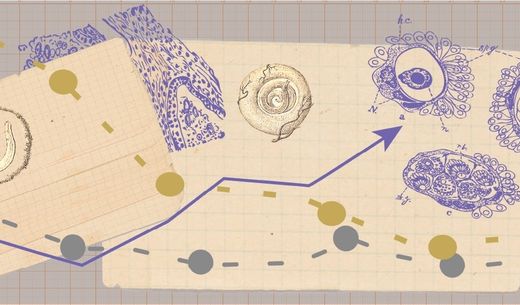Parasite chart.