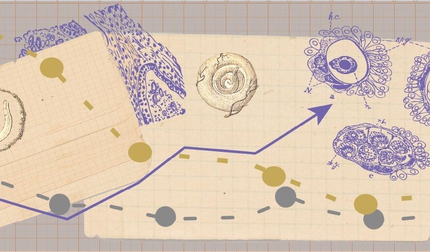 Parasite chart.