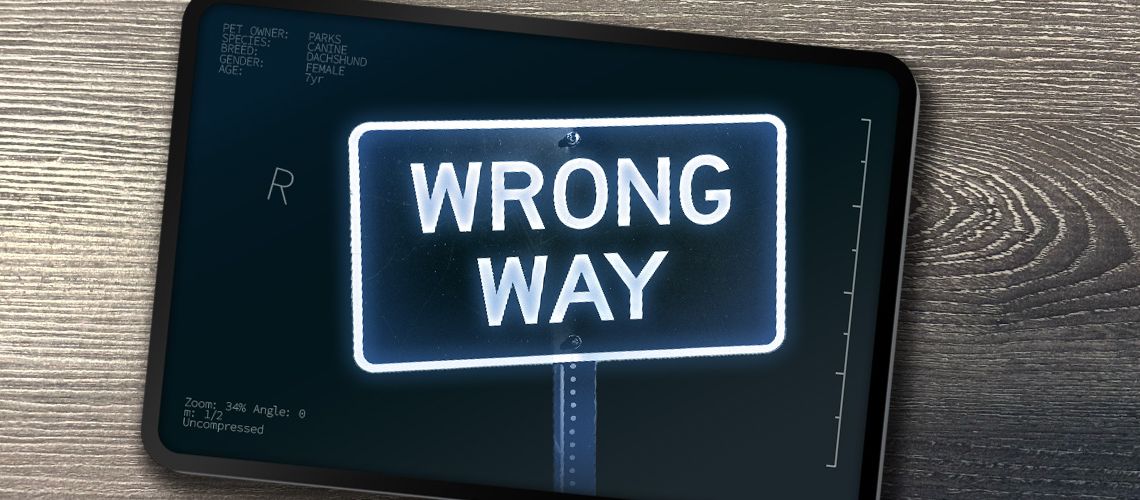 Wrong way sign.