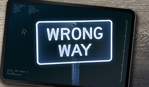 Wrong way sign.