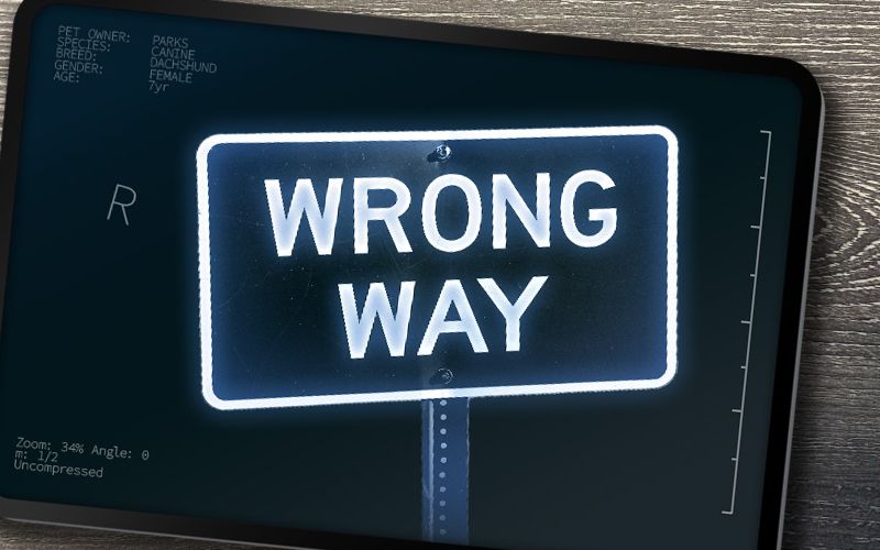 Wrong way sign.