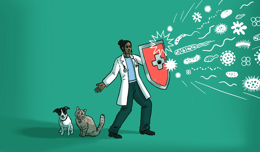 Illustration of a veterinarian shielding pets from disease.