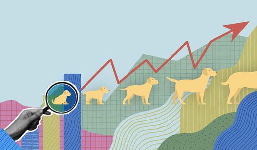 Cat growth chart.