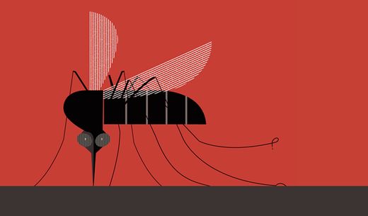 Illustration of a sandfly.