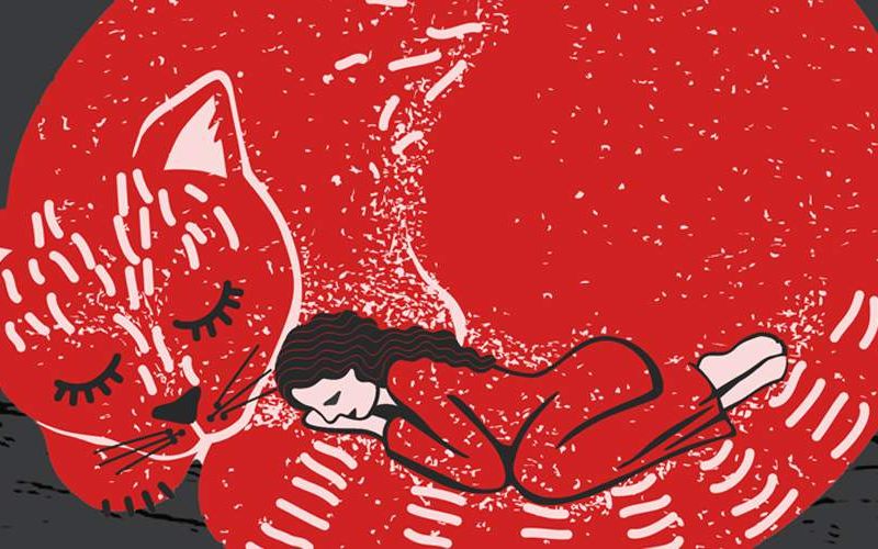 Extend joint care for cats outlet