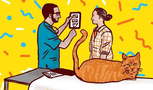 Illustration of a cat in a vet exam.