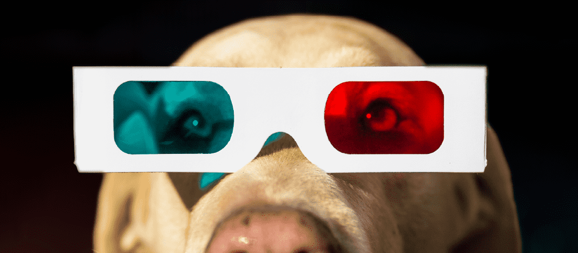 3D glasses