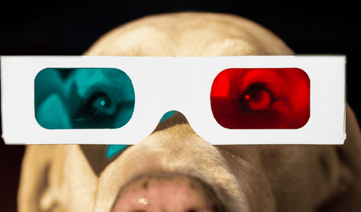 3D glasses