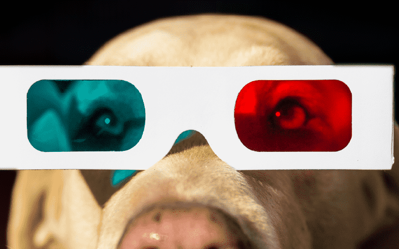 3D glasses