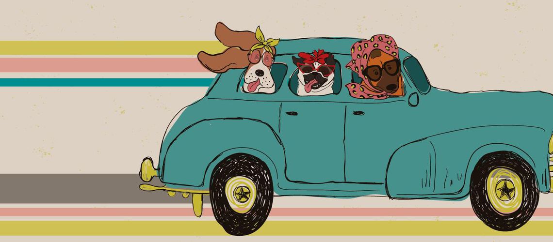 Graphic illustration of veterinary curbside checkin.