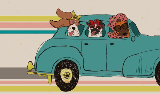 Graphic illustration of veterinary curbside checkin.