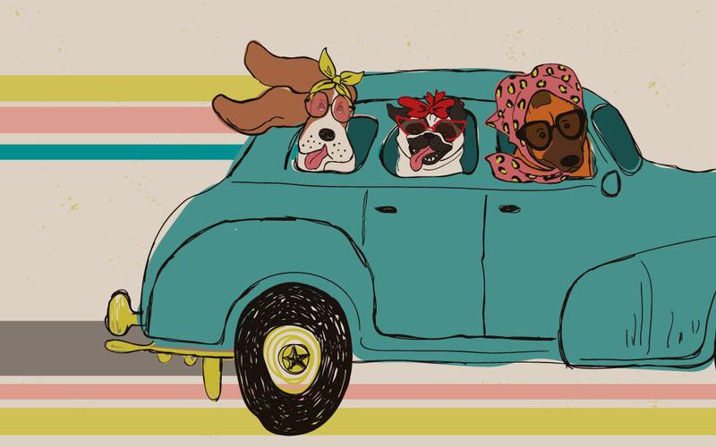 Graphic illustration of veterinary curbside checkin.