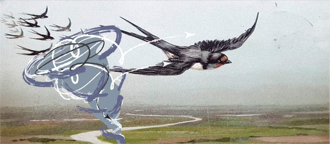 Illustration of a tornado.