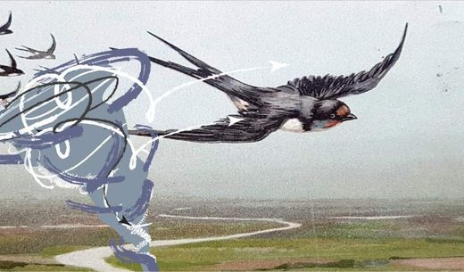 Illustration of a tornado.