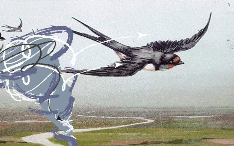 Illustration of a tornado.