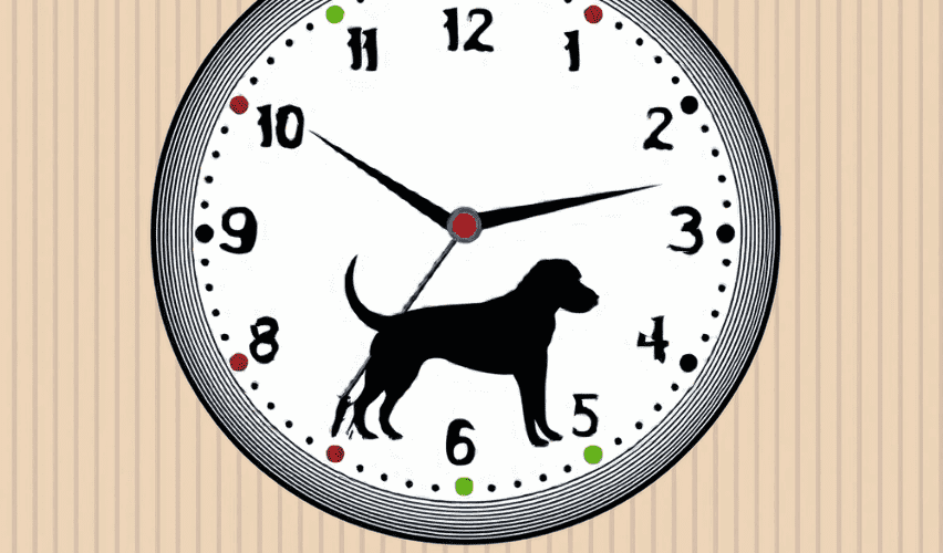 Illustration of a dog on a clock