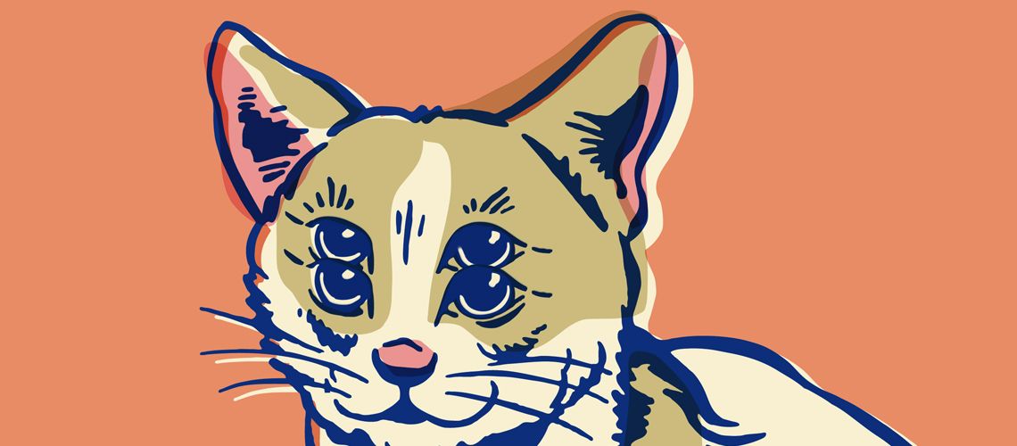 Illustration of a cat.