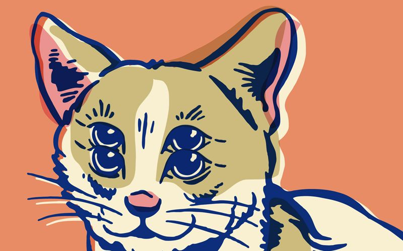 Illustration of a cat.