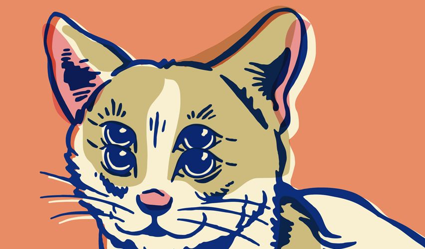 Illustration of a cat.