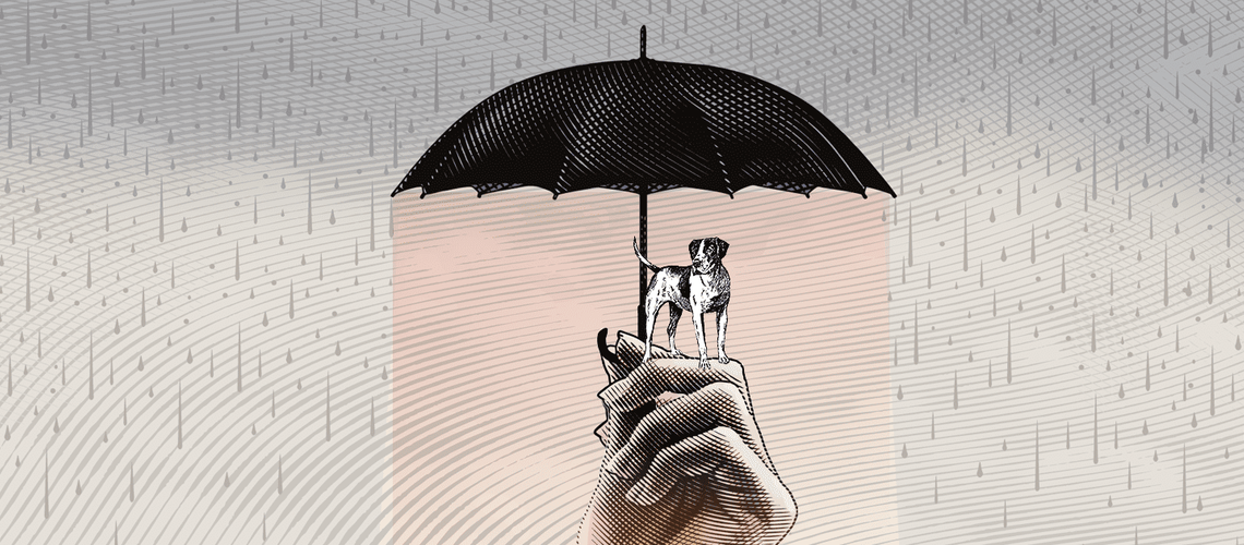 Illustration of a dog under an umbrella