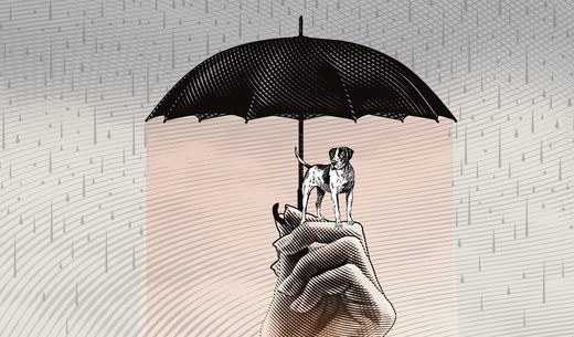 Illustration of a dog under an umbrella