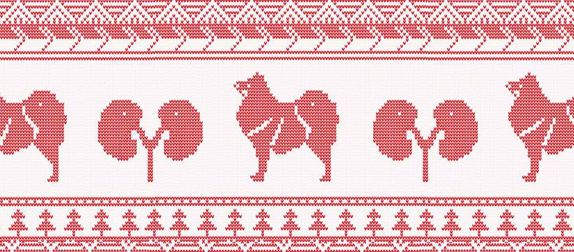 Graphic illustration of knitted sweater