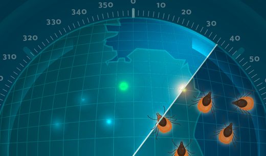 Illustration of radar with bugs.