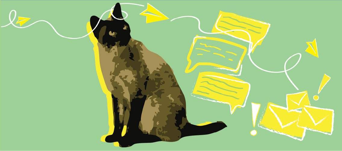 Illustration of a cat with emails.