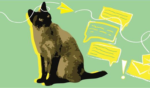 Illustration of a cat with emails.