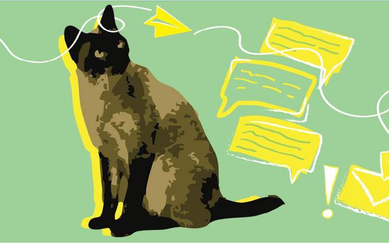 Illustration of a cat with emails.