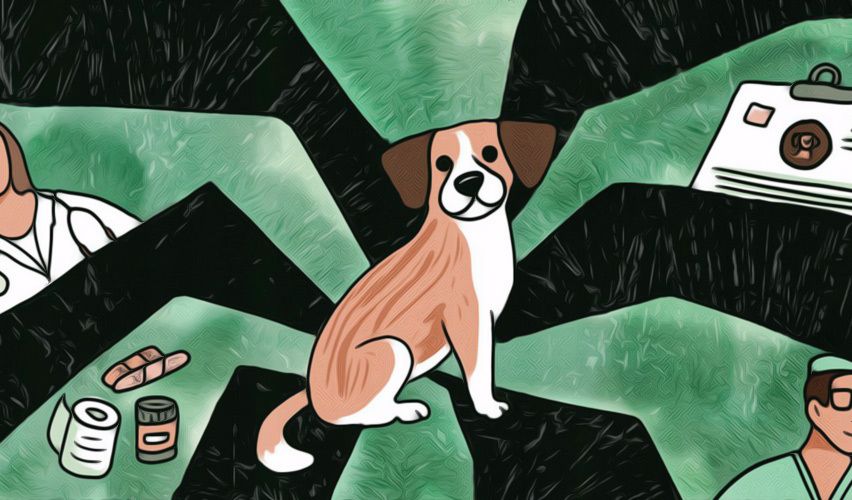 Illustration of a dog.