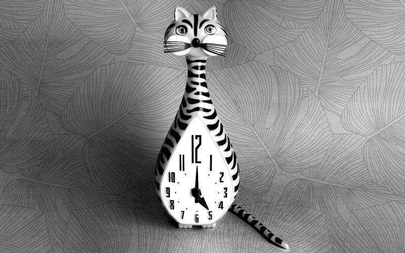 Photo of a cat clock.