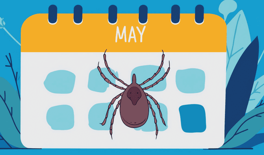 Illustration of a tick on a calendar.