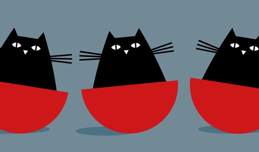 Cats in bowls